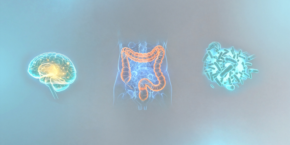 Microbiota e salute del corpo